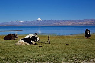 Lake_Manasarovar
