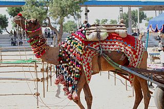 Pushkar_Fair