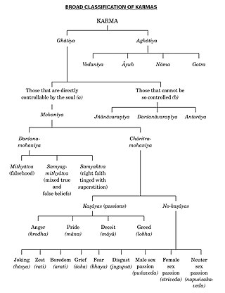 Types_of_Karma_(Jainism)